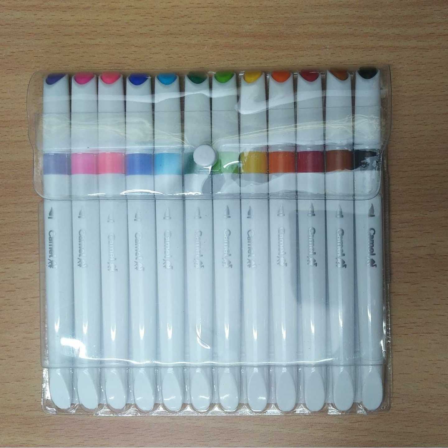 Camlin Brush Pens 12 Shades