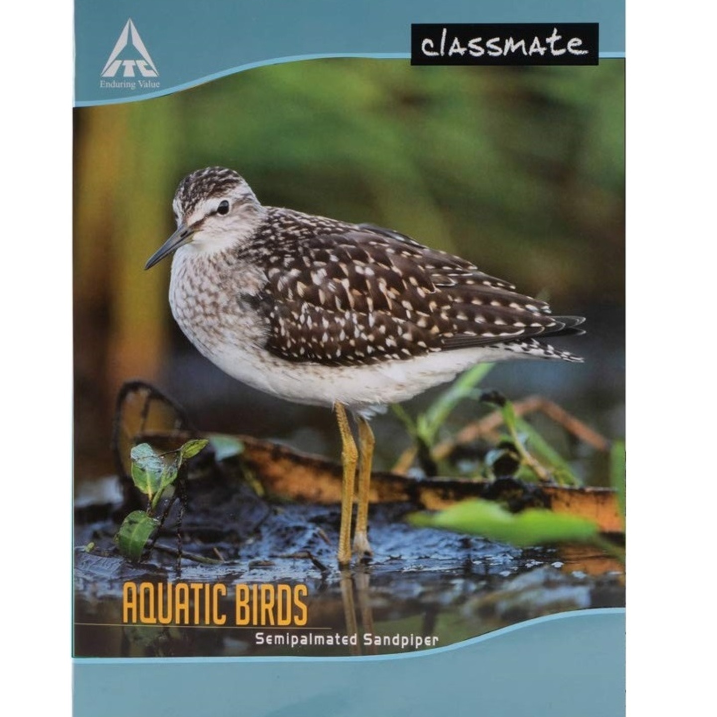 Classmate 4 Ruled Note Book 172pgs