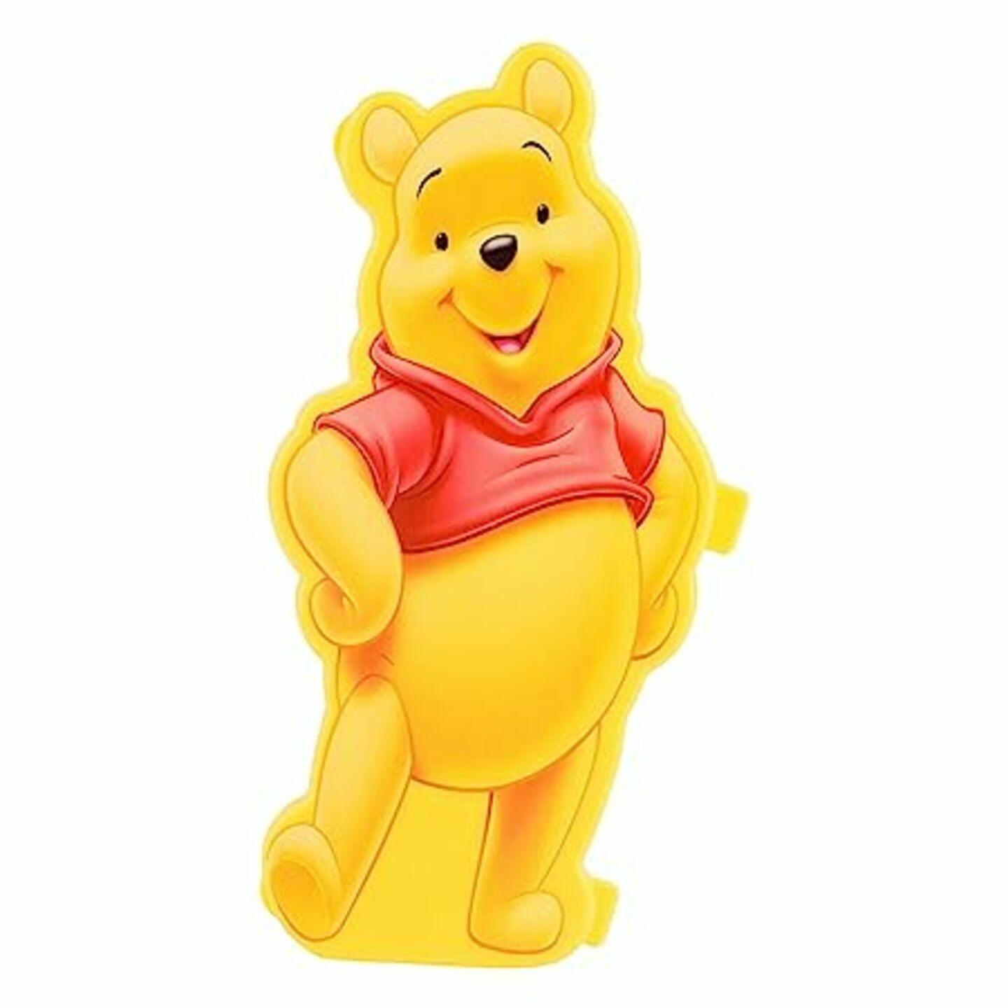 Winnie the Pooh pencil box