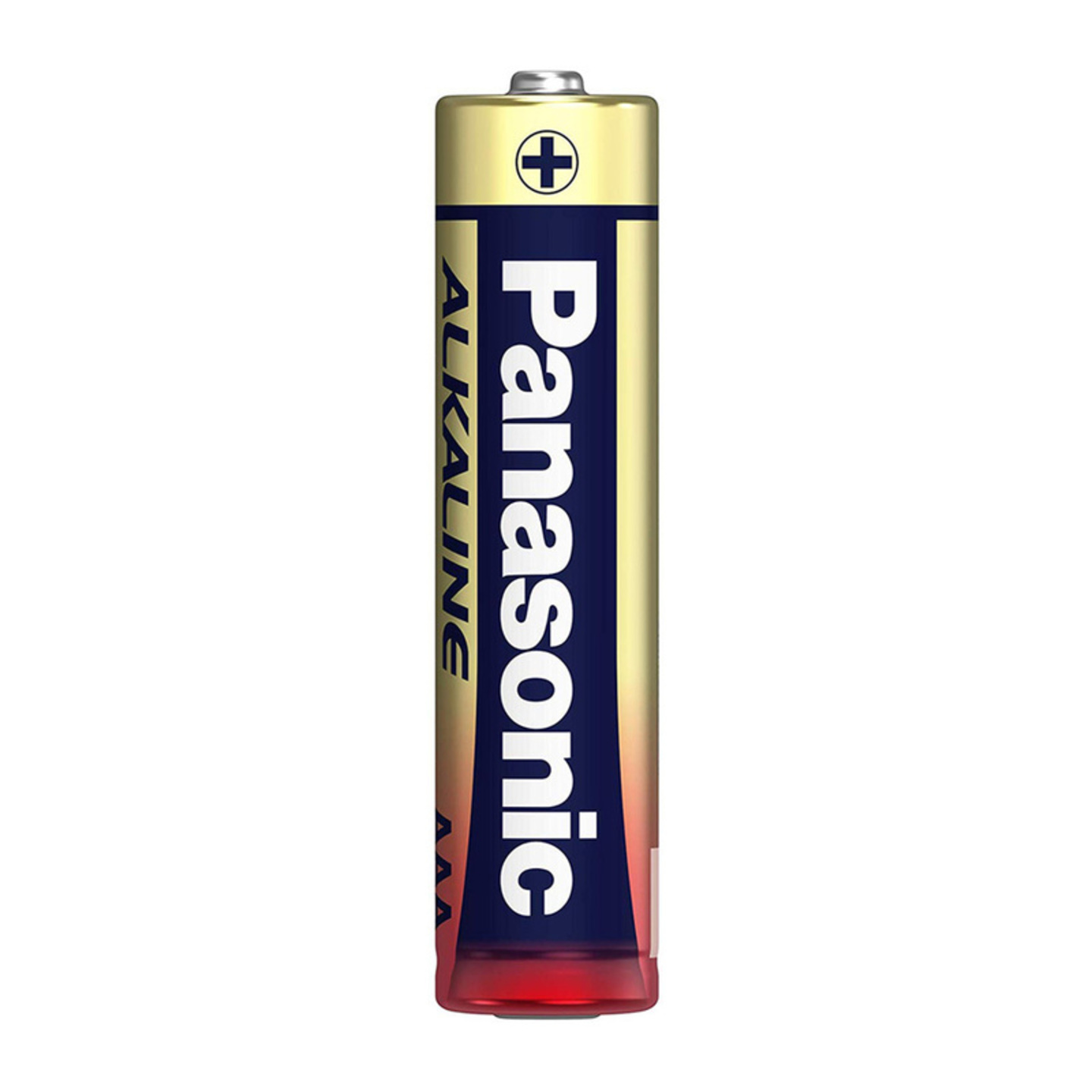 Panasonic AAA Alkaline Cell 2 N