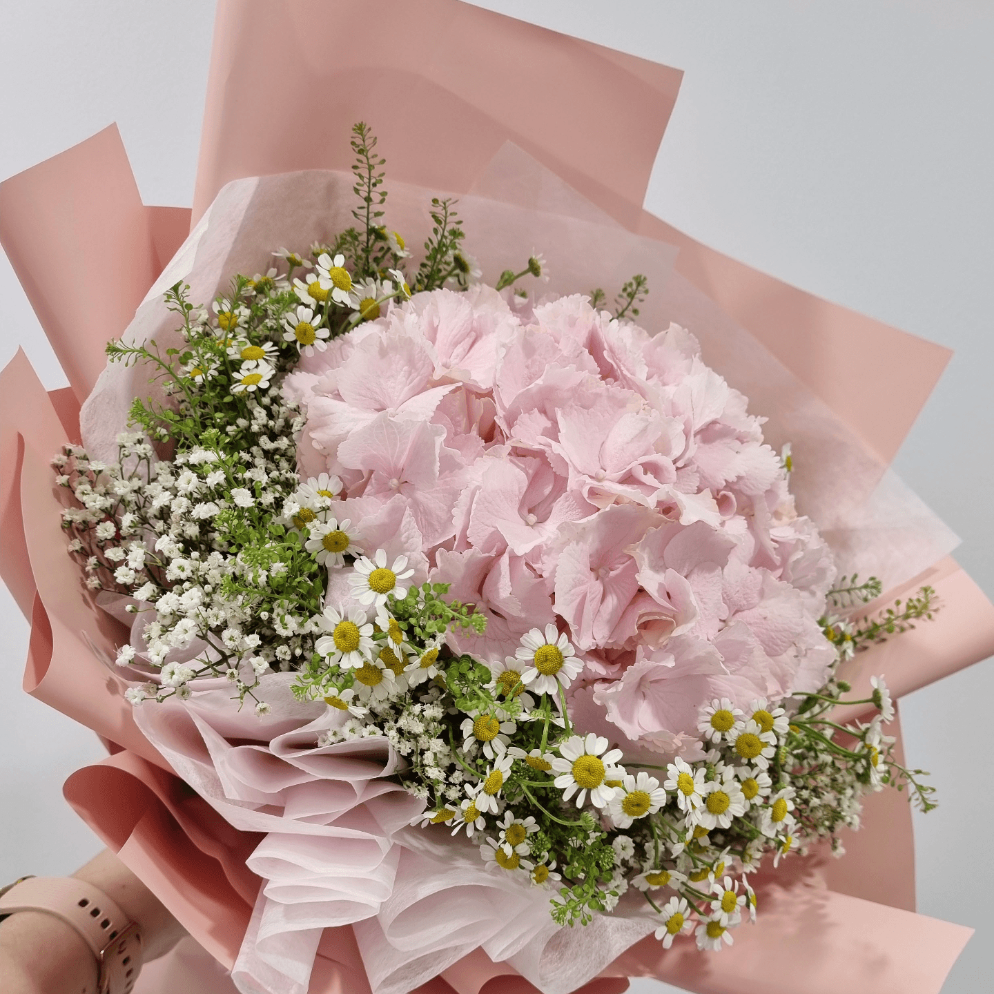 Blooming Pink
