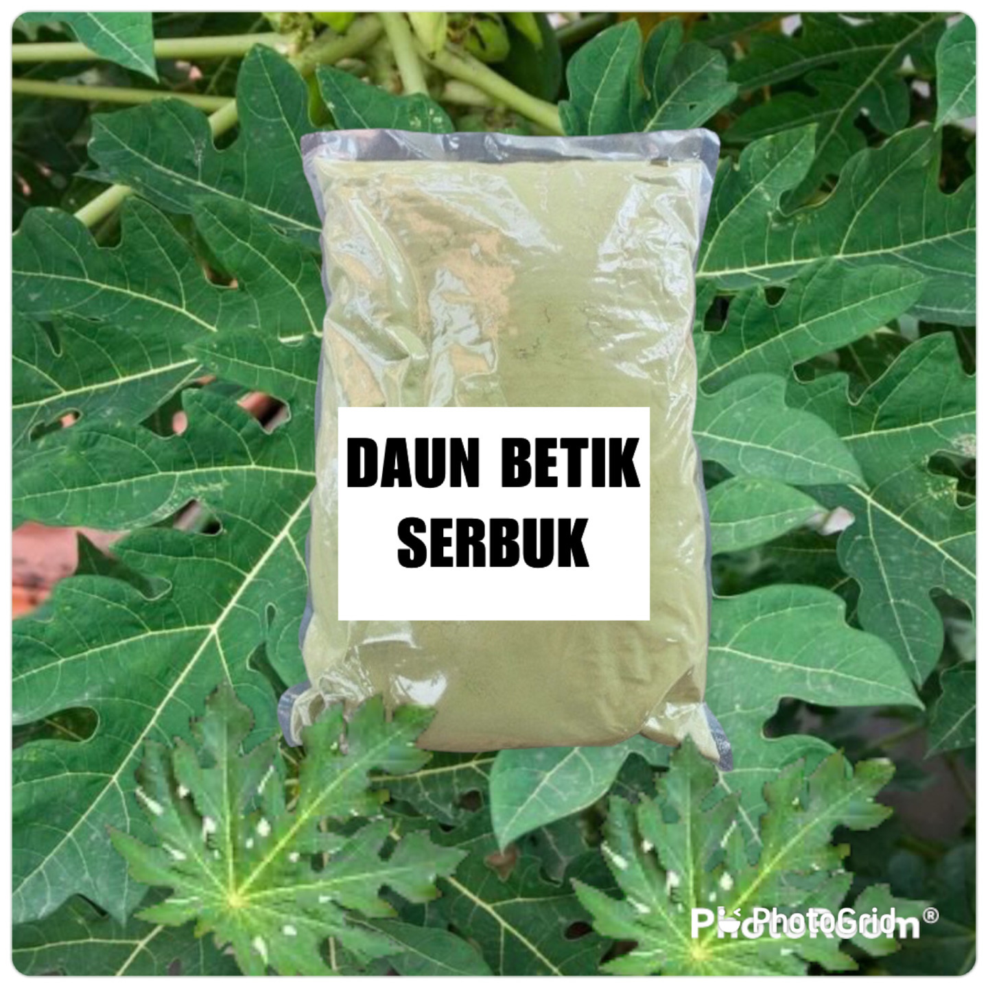 SERBUK DAUN BETIK 100g