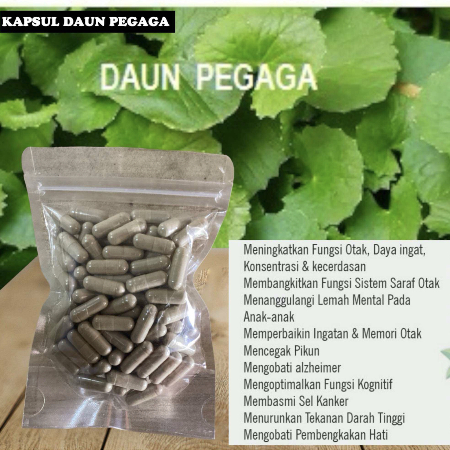 KAPSUL DAUN PEGAGA 100biji