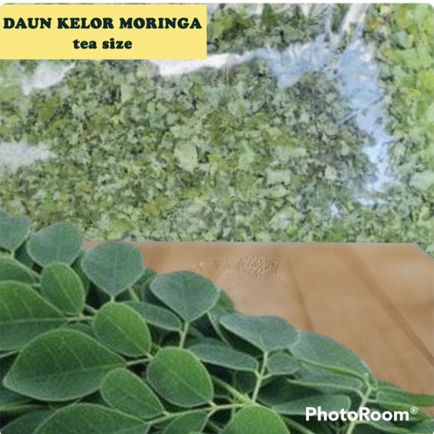 DAUN KELOR MORINGA tea size 1kg