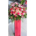 Congratulatory 8