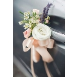 Wedding Car Décor                                                                                     Hydrangea + Rose Theme
