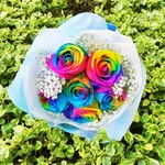 Rainbow Rose Ecuador
