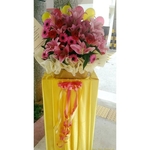 Congratulatory 5