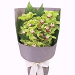cymbidium