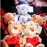 Teddy with Love
