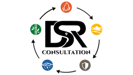 Consultation Logo.png