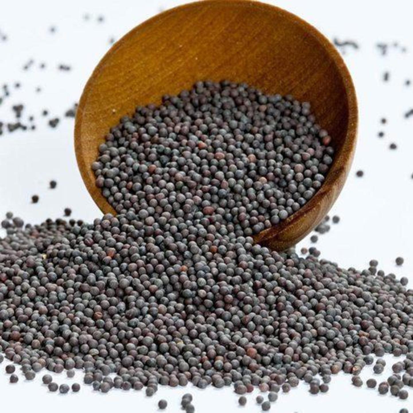 Black Mustard seeds - Rai , Aavalu- BIG