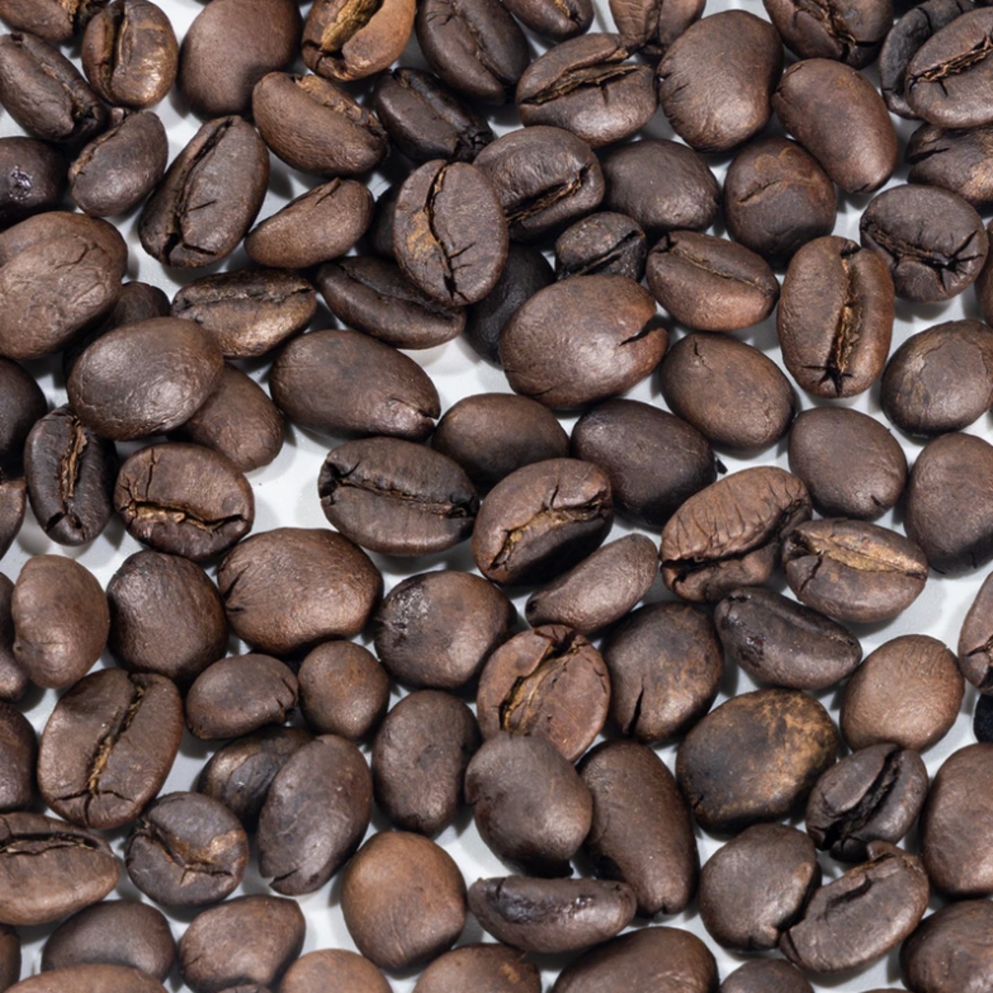 Wild Coffee Beans
