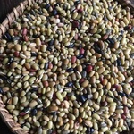 Masyang Naurangi Dal - 100 Organic
