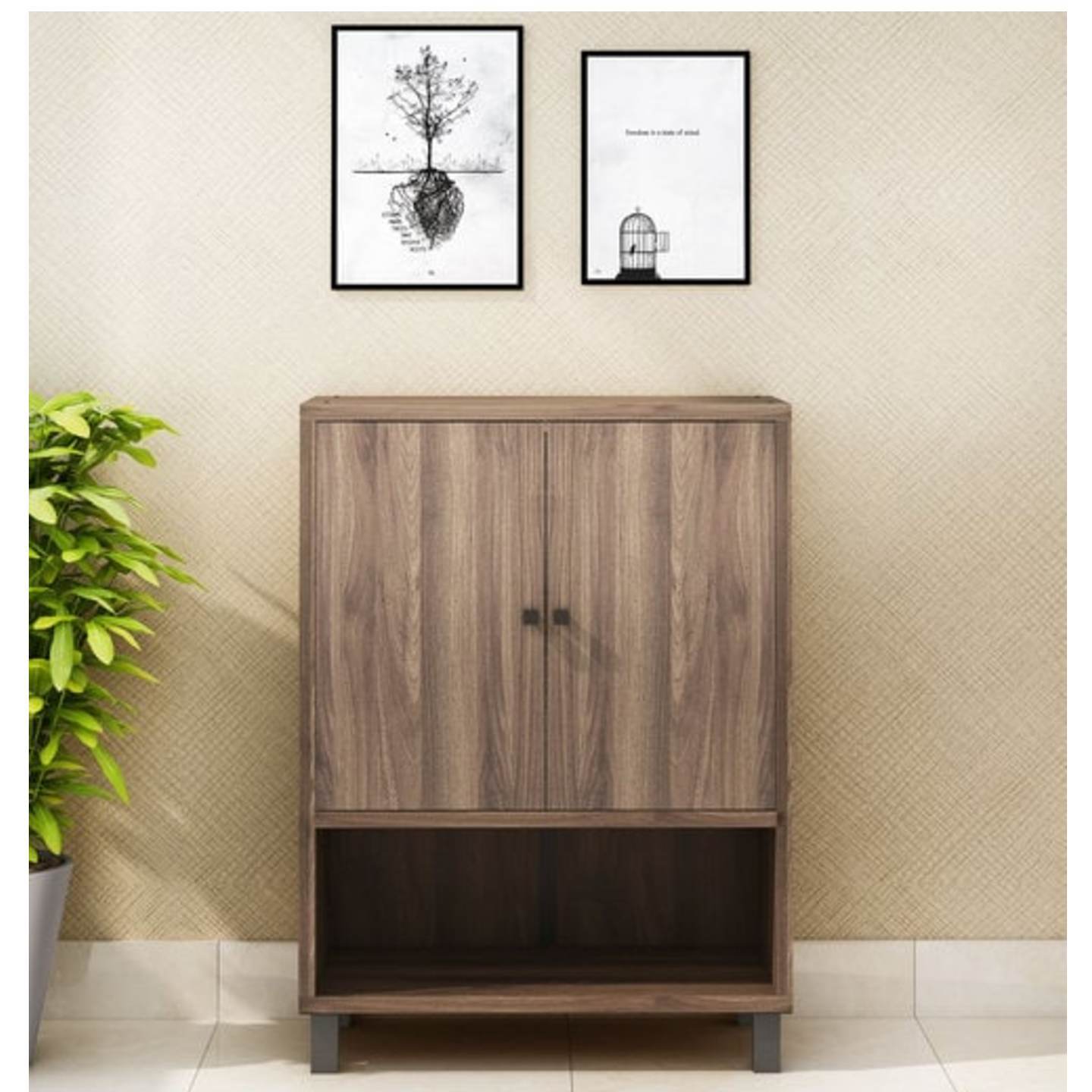 Eringio Shoe Cabinet in Walnut Finish