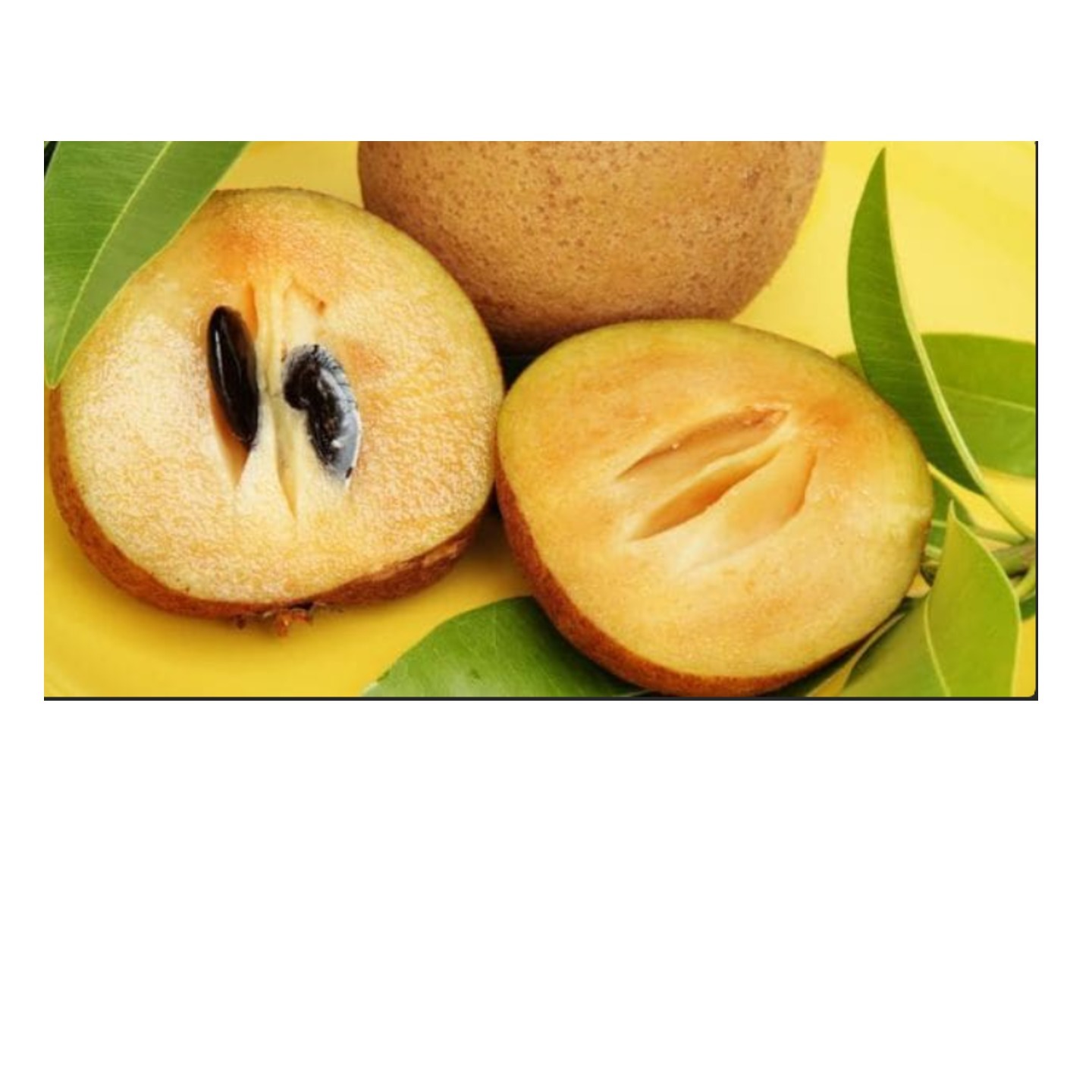 sapodilla chiku