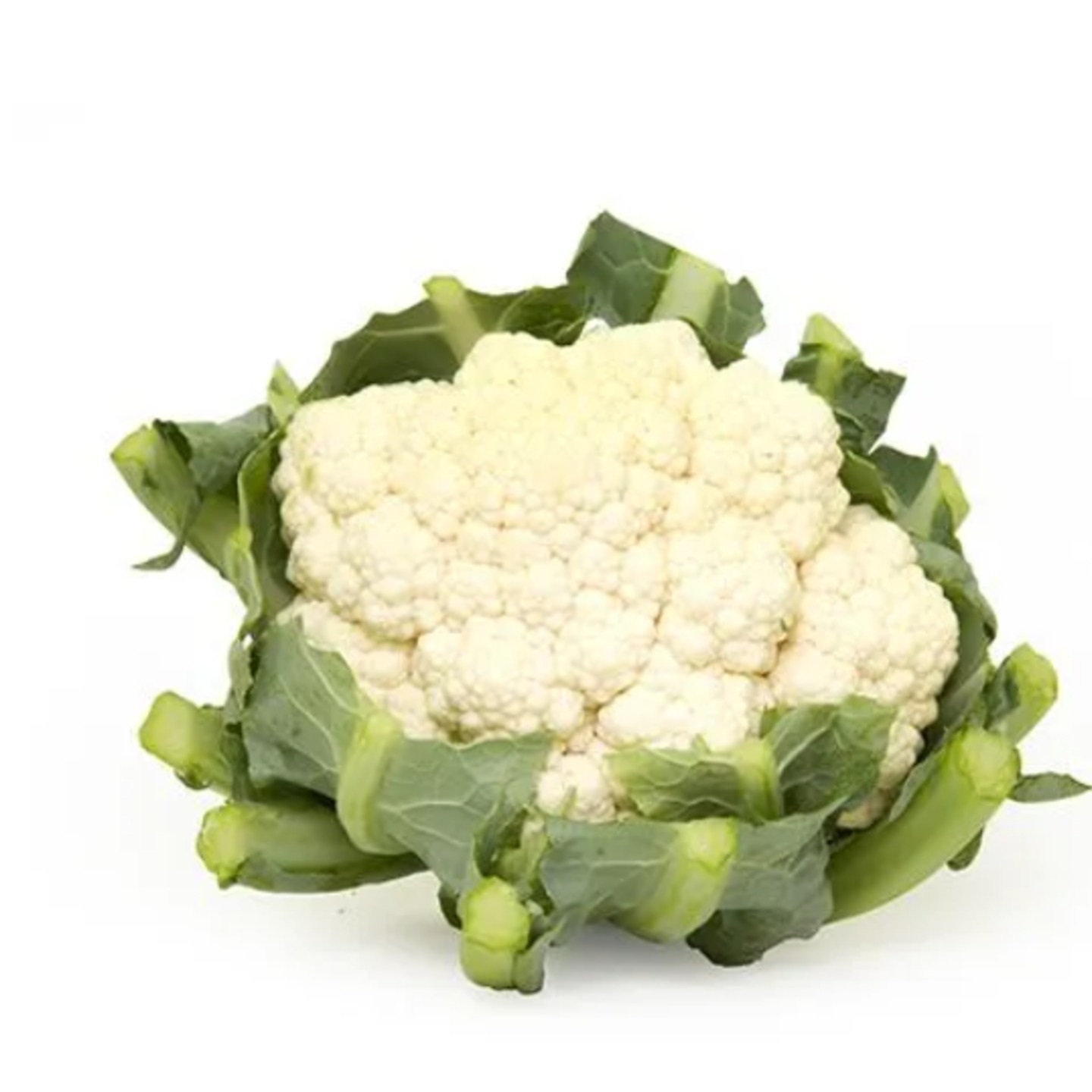 Cauliflower snowball , full gobhi (फूल गोभी) 