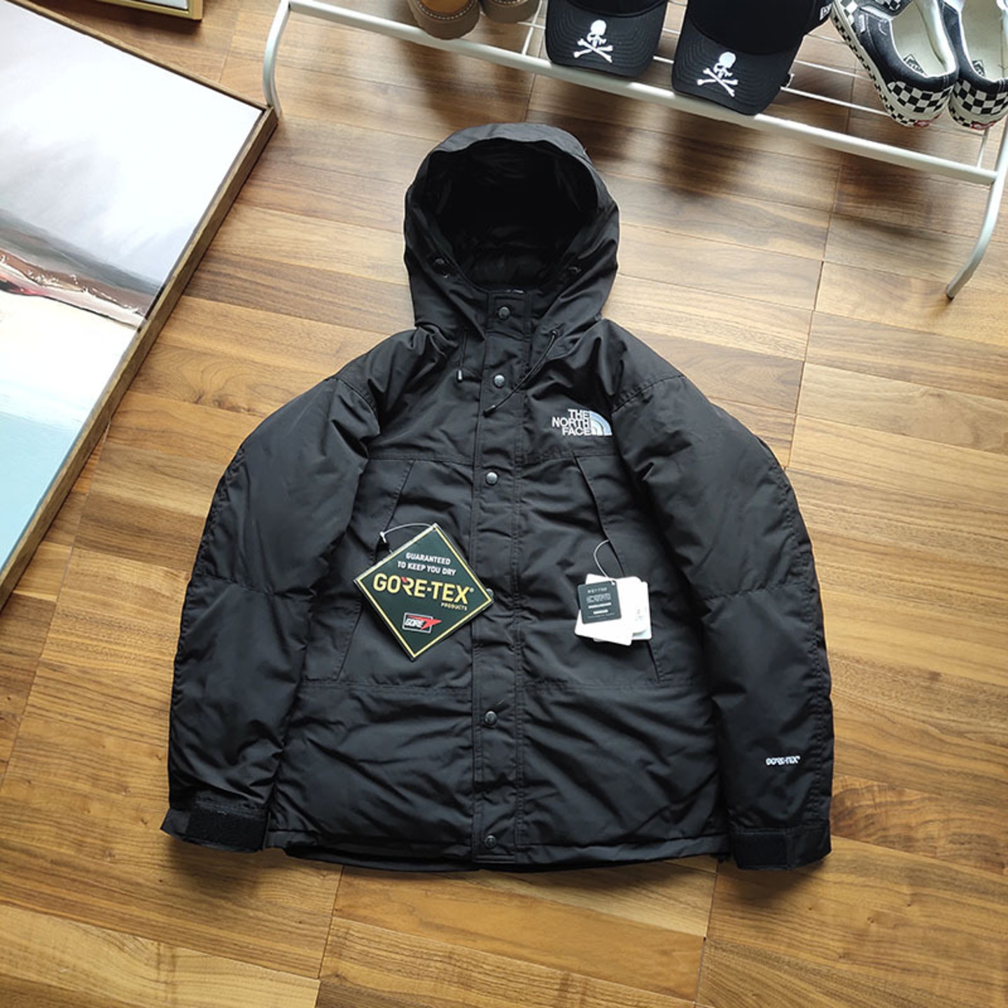The North Face Gore Tex Down Jacket