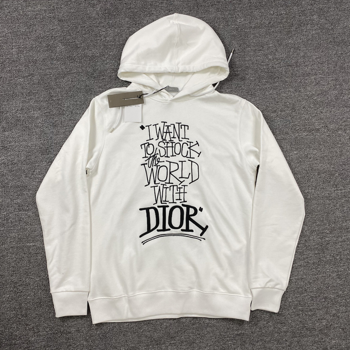 Dior and Shawn Oversized Hoodie