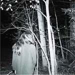 FRAIL HANDS - ST LP