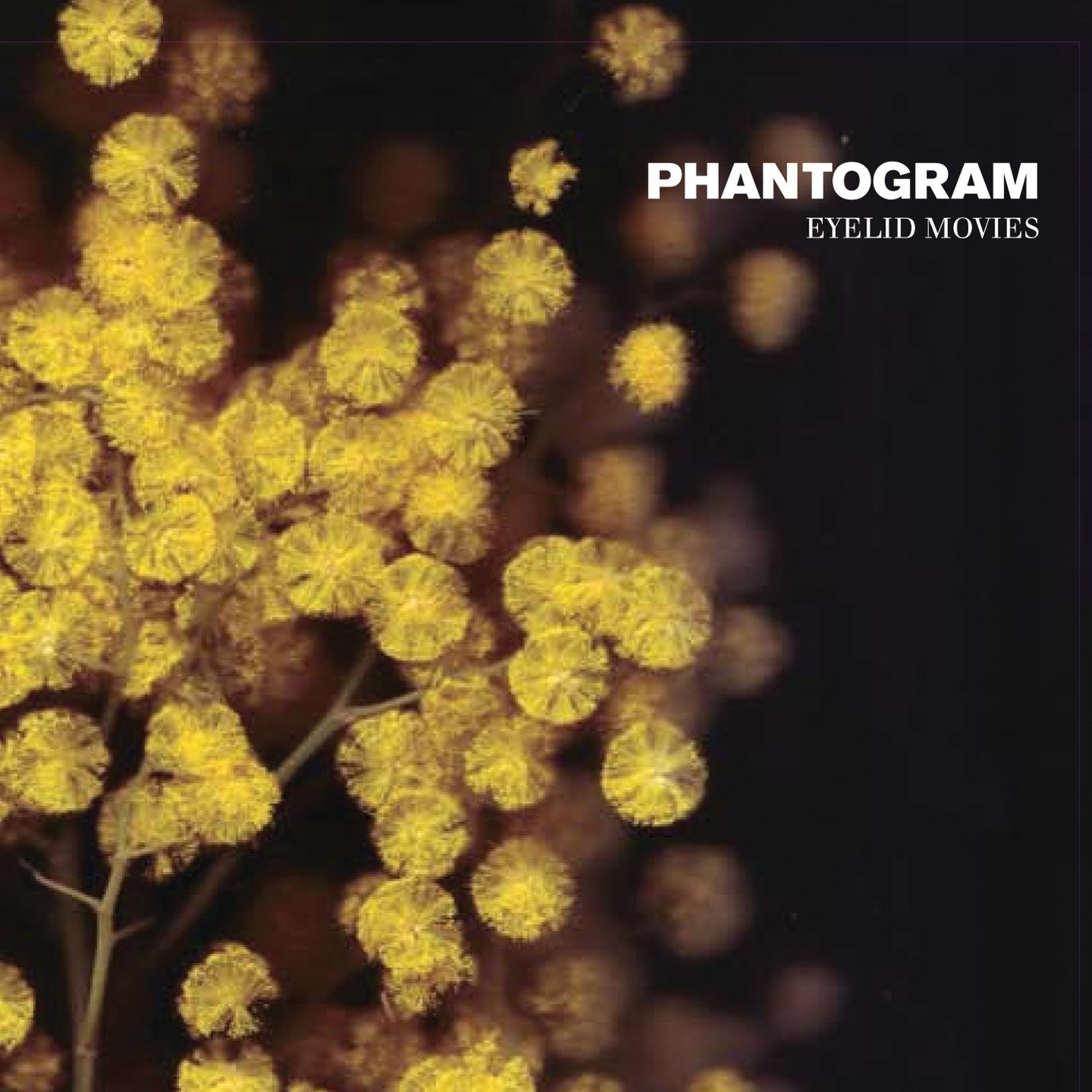 PHANTOGRAM - Eyelid Movies LP
