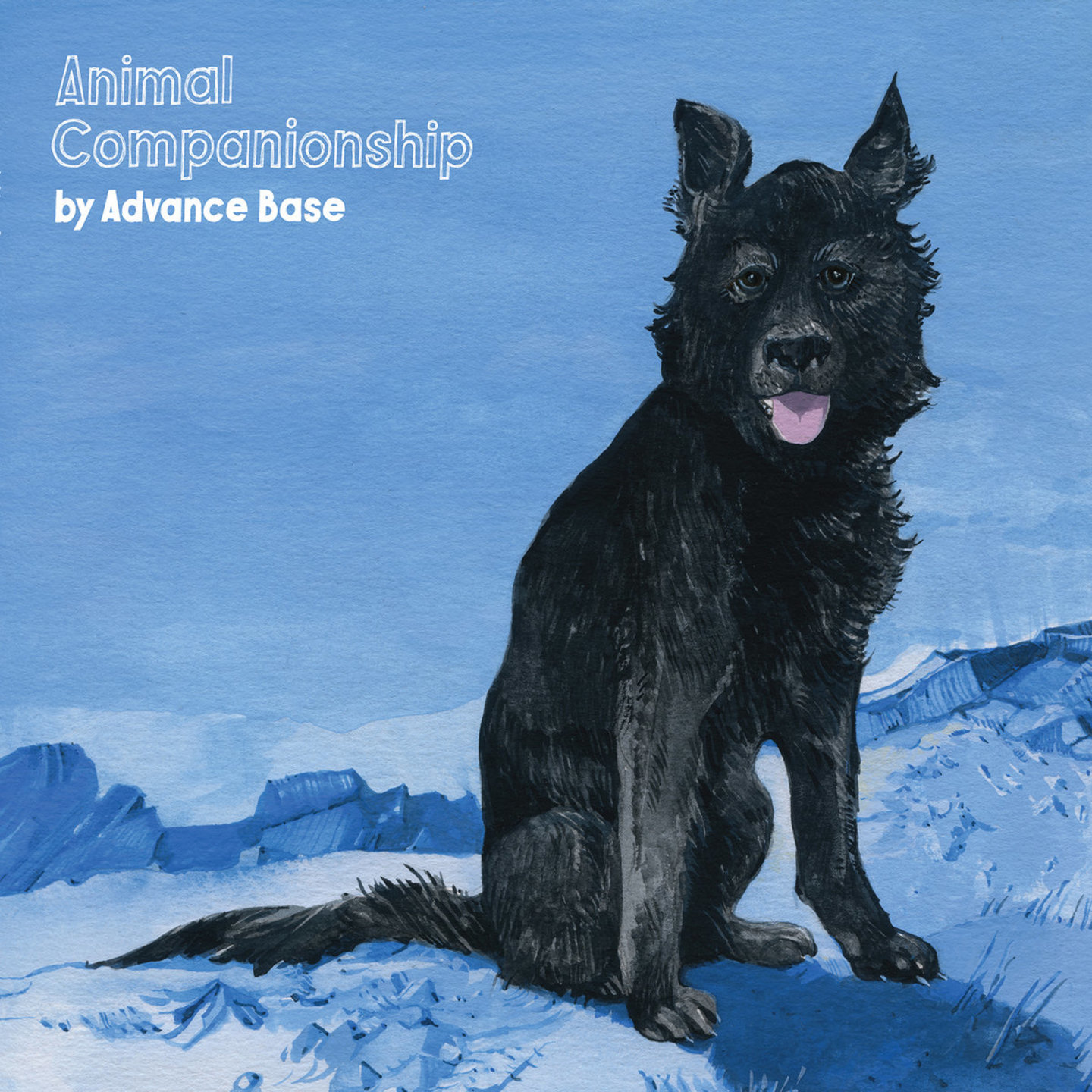 ADVANCE BASE - Animal Companionship LP