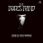BUDOS BAND, THE - Long In The Tooth LP