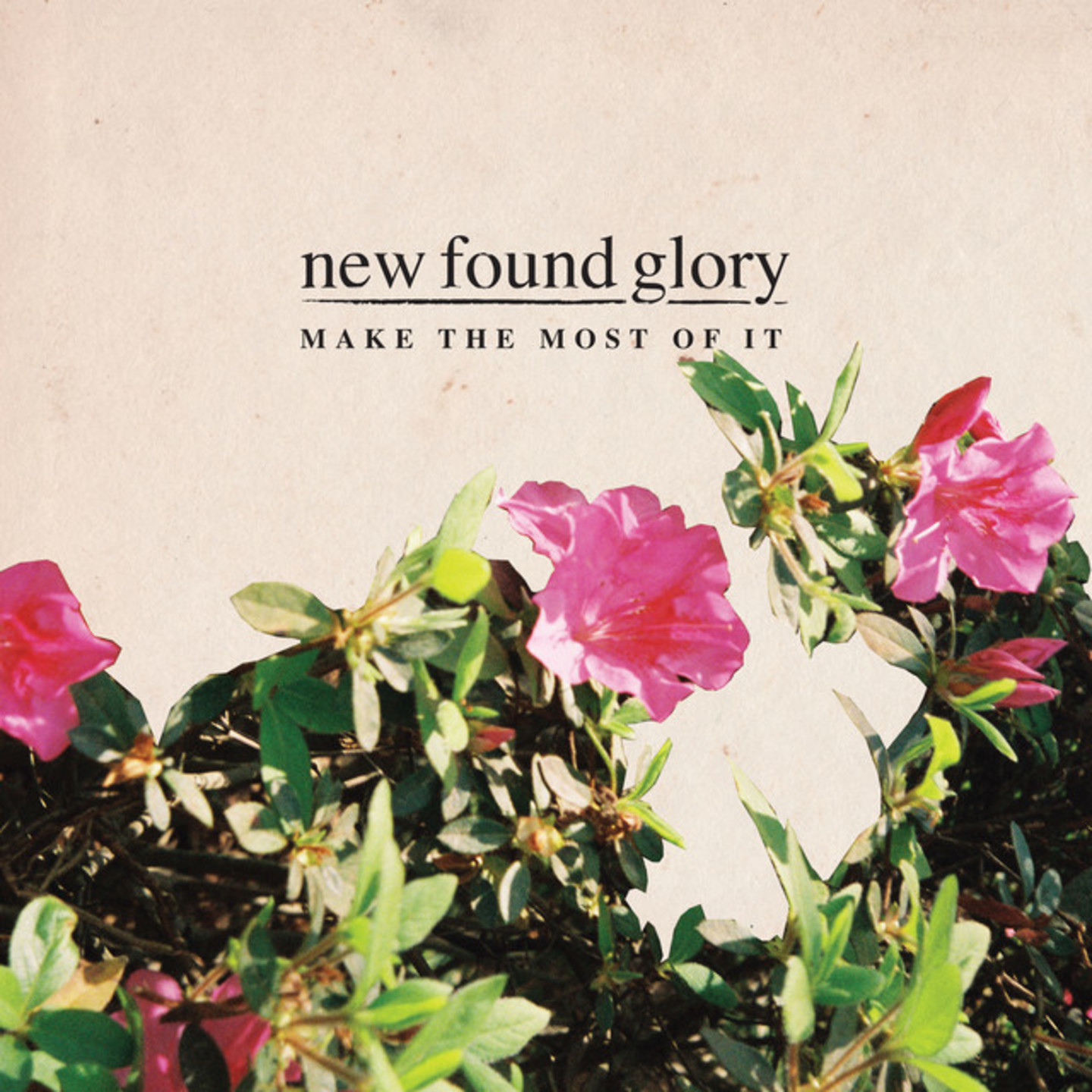 NEW FOUND GLORY - Make The Most Of it LP Clear vinyl