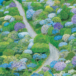 FIDDLEHEAD - Between The Richness LP (White In Purple Vinyl)