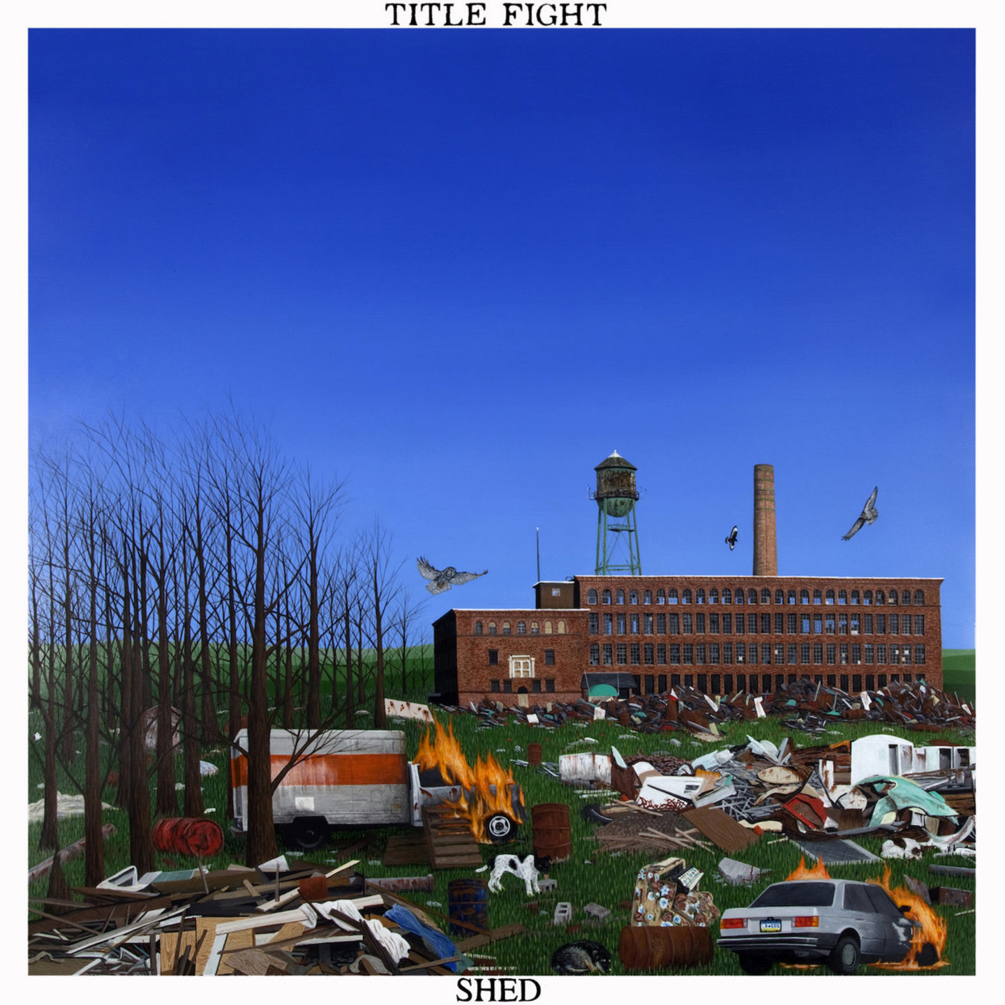 TITLE FIGHT - Shed LP