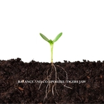 BALANCE AND COMPOSURE TIGERS JAW - Split LP