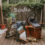 SLAUGHTER BEACH, DOG - Birdie LP