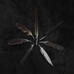 CASPIAN - Dust And Disquiet 2xLP (Colour Vinyl)