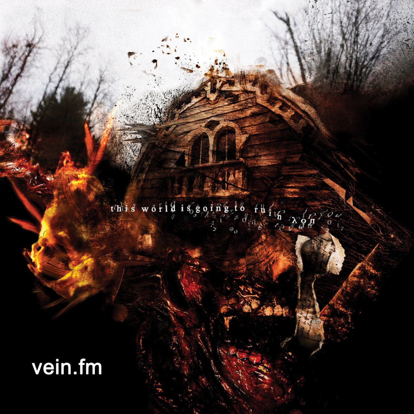 VEIN.FM - This World Is Going To Ruin You LP Colour vinyl