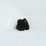 CHELSEA WOLFE - Hiss Spun 2xLP
