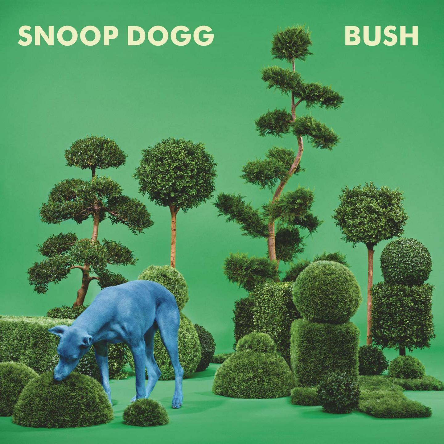 SNOOP DOGG - Bush LP
