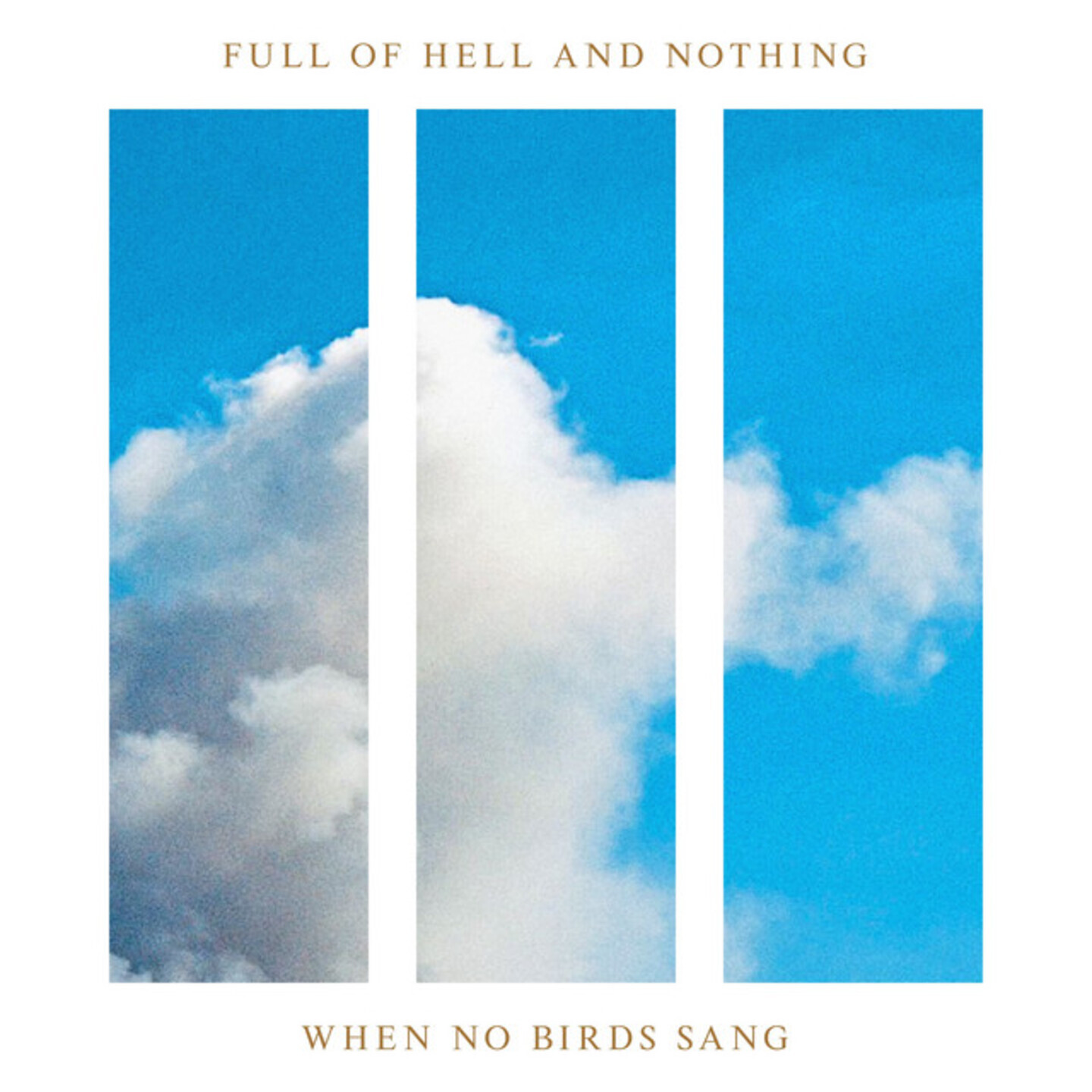 FULL OF HELL  NOTHING - When No Birds Sang LP Royal Blue vinyl