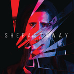 SHE PAST AWAY - Disko Anksiyete LP