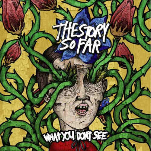 STORY SO FAR, THE - What You Dont See LP Colour Vinyl