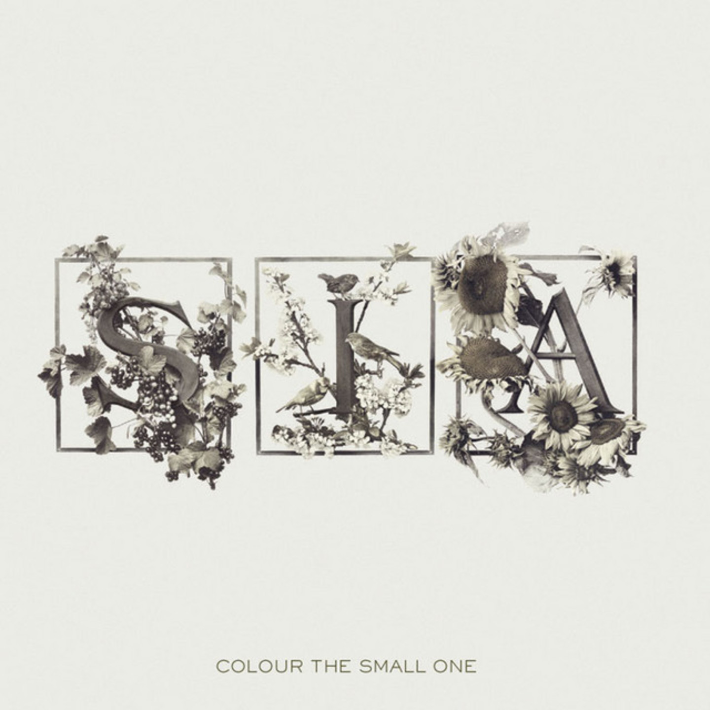 SIA - Colour The Small One LP