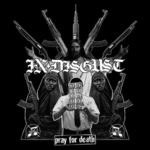 IN DISGUSTPLF - Split LP