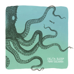 DELTA SLEEP - Twin Galaxies LP