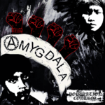 AMYGDALA - Population Control LP