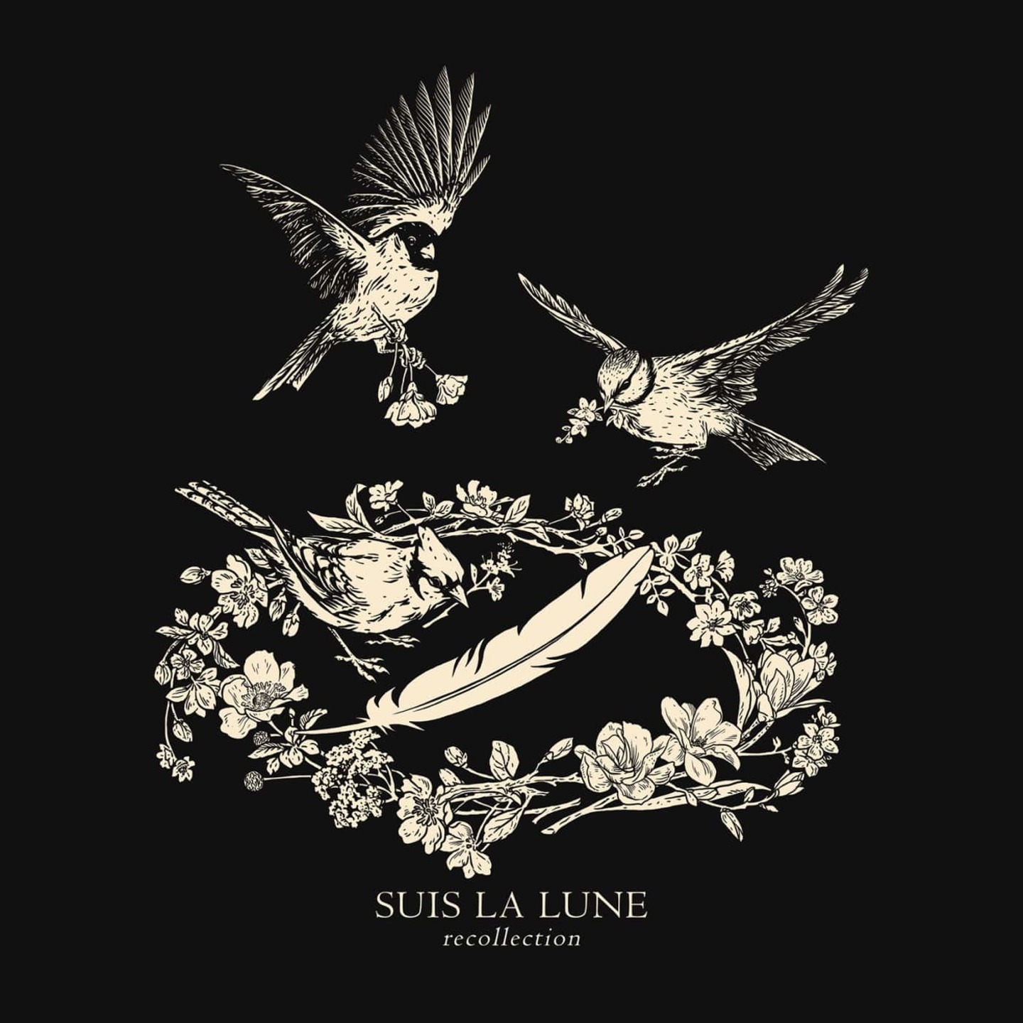 SUIS LA LUNE - Recollection 6xLP Boxset (Smoke Colour Vinyl)