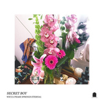 WICCA PHASE SPRINGS ETERNAL - Secret Boy LP