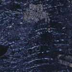 METH DRINKER - Oil LP