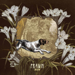 PRAWN - Run LP
