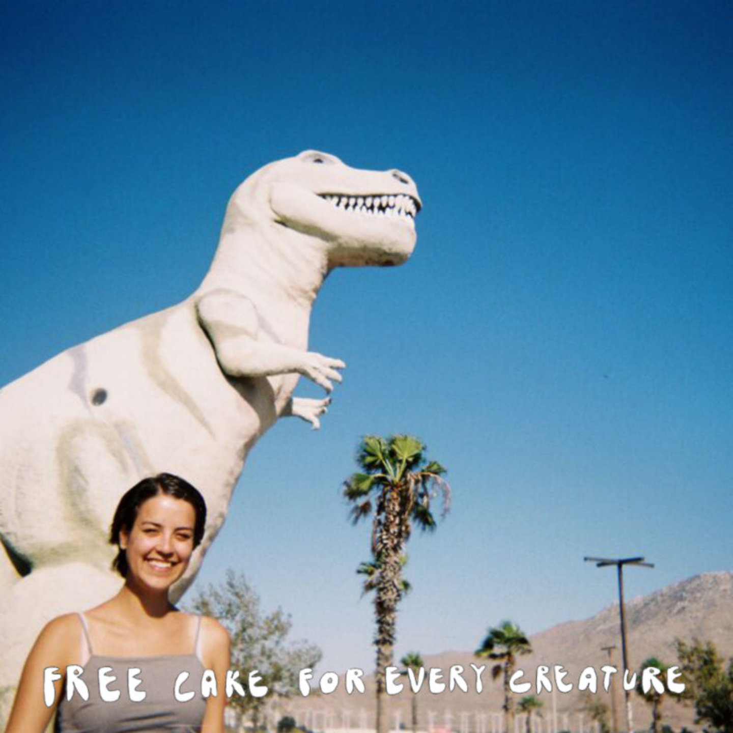 FREE CAKE FOR EVERY CREATURE - Talking Quietly Of Anything With You LP
