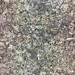 STRFKR - Ambient 1 LP Cream Vinyl