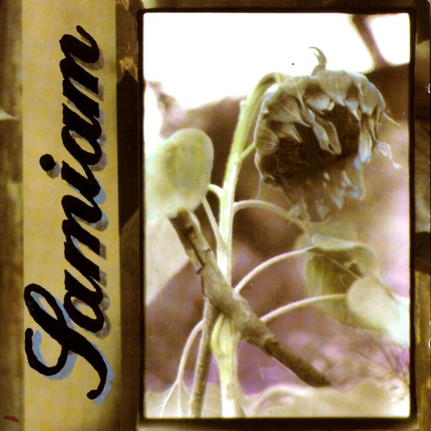 SAMIAM - Samiam LP Black & Purple Splatter Vinyl